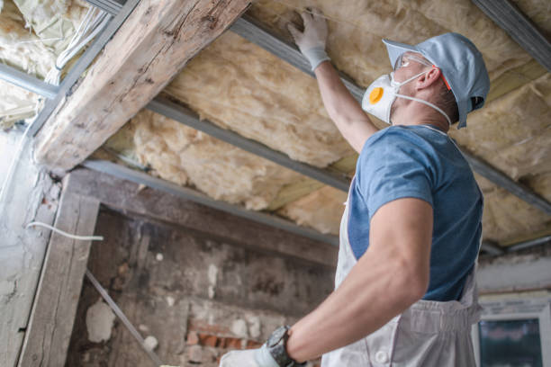 Types of Insulation We Offer in West Plains, MO